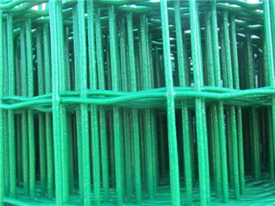 養(yǎng)殖荷蘭網